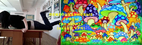 ПСИЛОЦИБИНОВЫЕ ГРИБЫ Алзамай