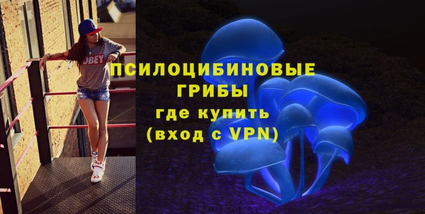 винт Алексин