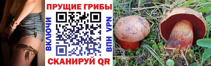 Псилоцибиновые грибы мухоморы даркнет формула Юрьевец